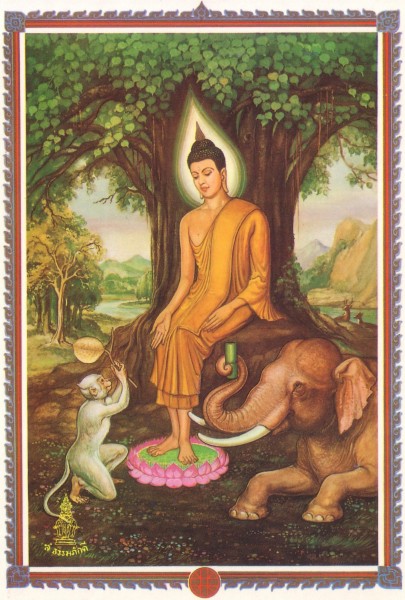 Vị Phật Ngày Thứ Tư